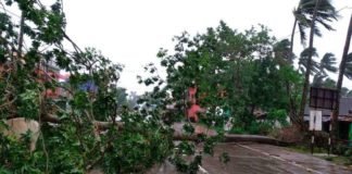 cyclone amphan in west bengal