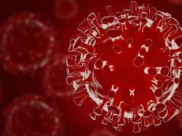 Coronavirus New Variant Omicron -