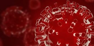 Coronavirus New Variant Omicron -