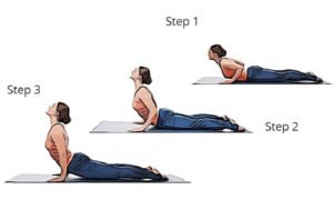 bhujangasana